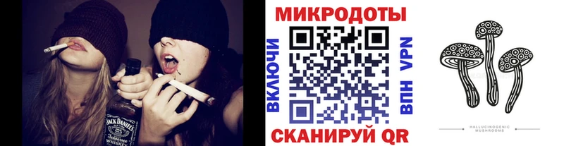 купить наркотик  Звенигово  Псилоцибиновые грибы Psilocybine cubensis 