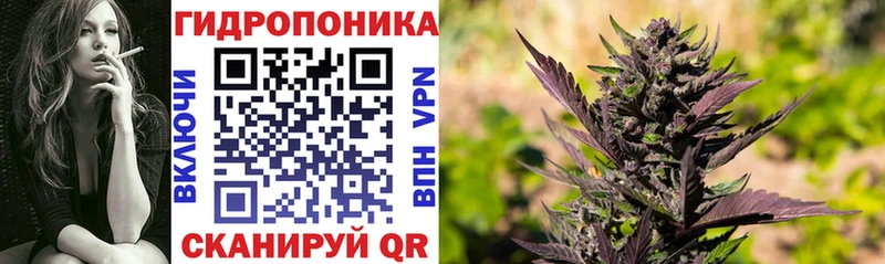 Бошки Шишки SATIVA & INDICA Звенигово