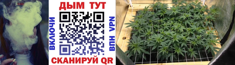 купить наркоту Звенигово Шишки марихуана Bruce Banner